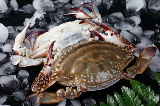 Frozen Cut Crab